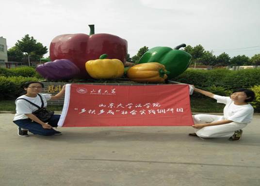 乡扶相成团队